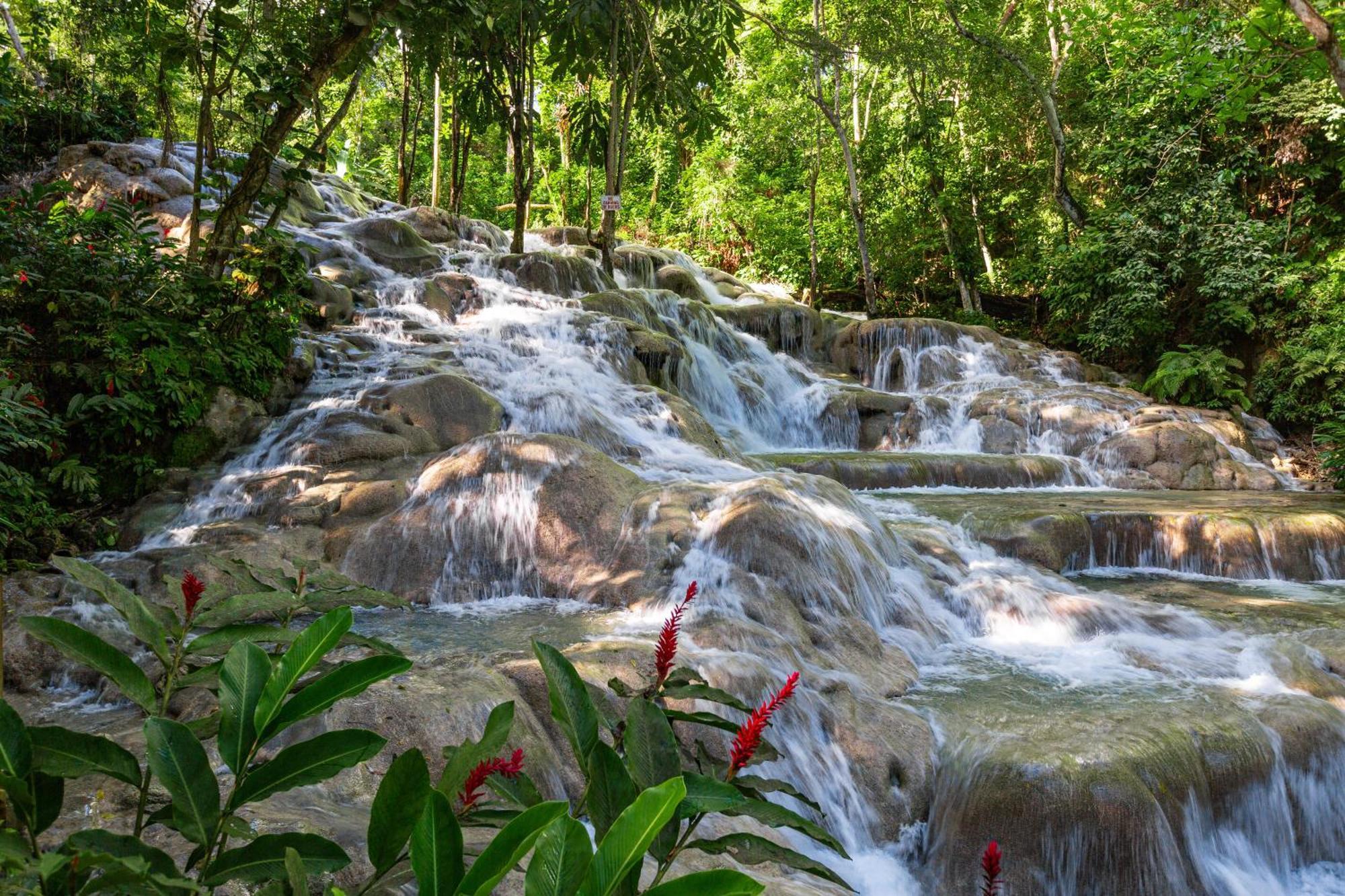 Sandals Dunns River All Inclusive Couples Only Ocho Ríos Extérieur photo